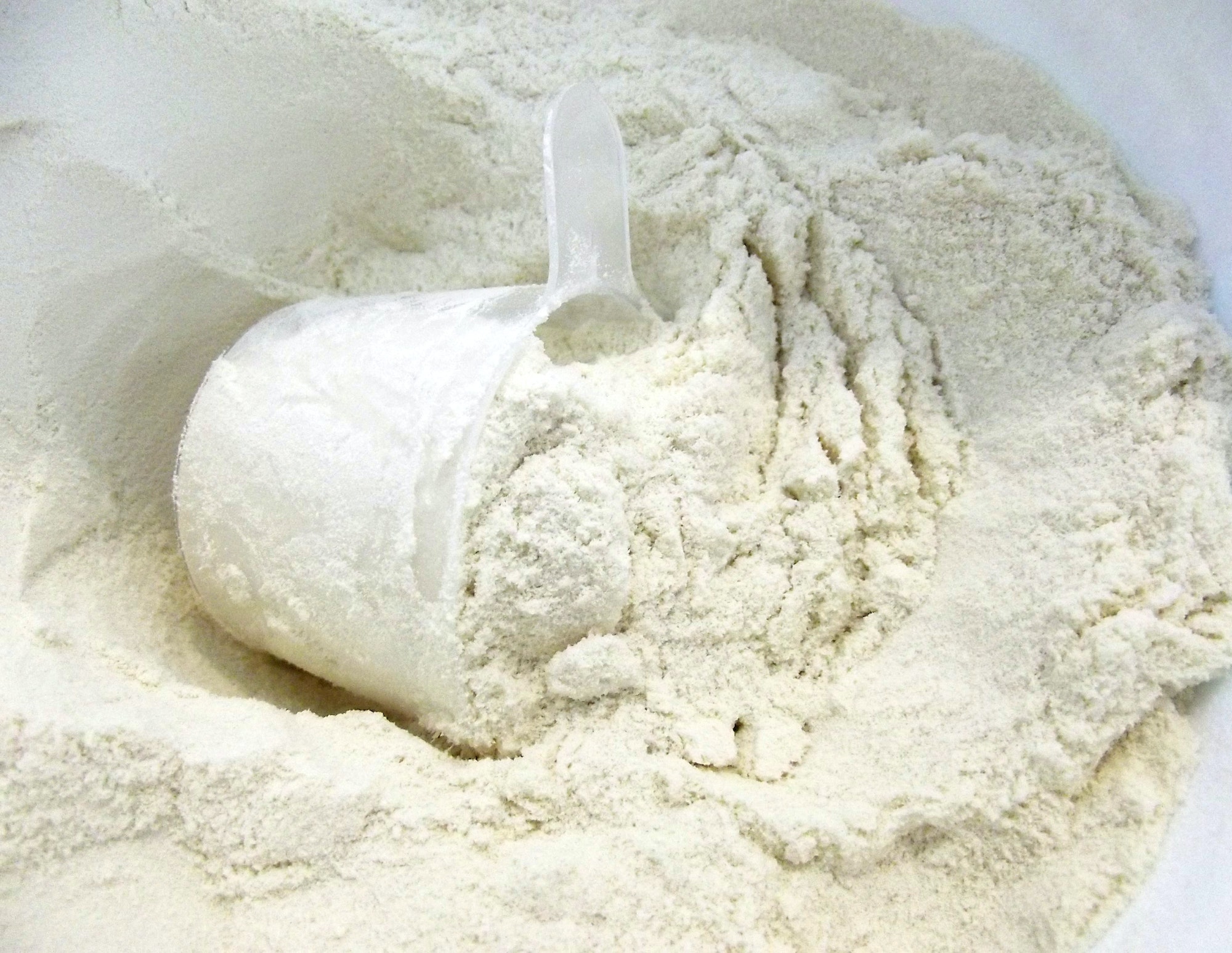Scoop of whey protein powder