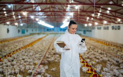 5 Ways to Maximize the Value of Your Chicken Feed Ingredients