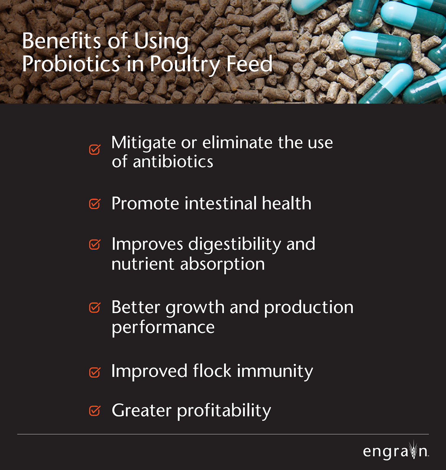 benefits of probiotics in poultry feed